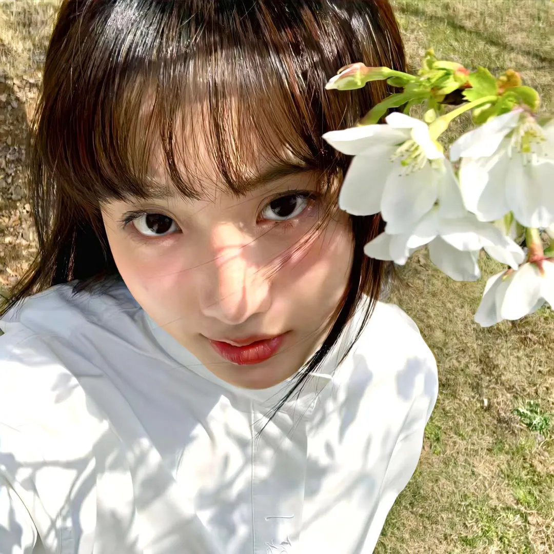 血洒万花团